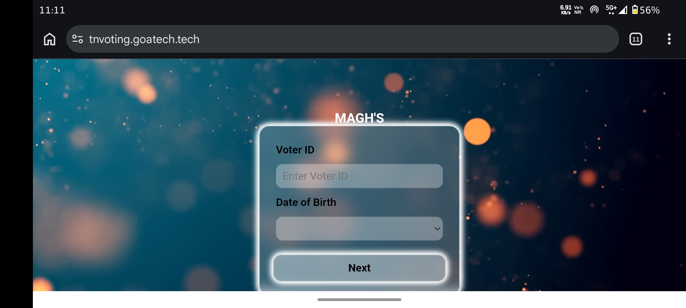 TN Voting